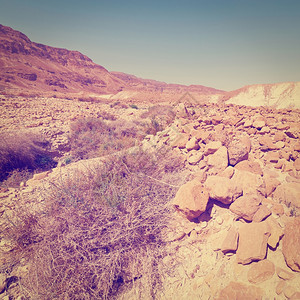 约旦河西岸沙漠Instagram效应图片