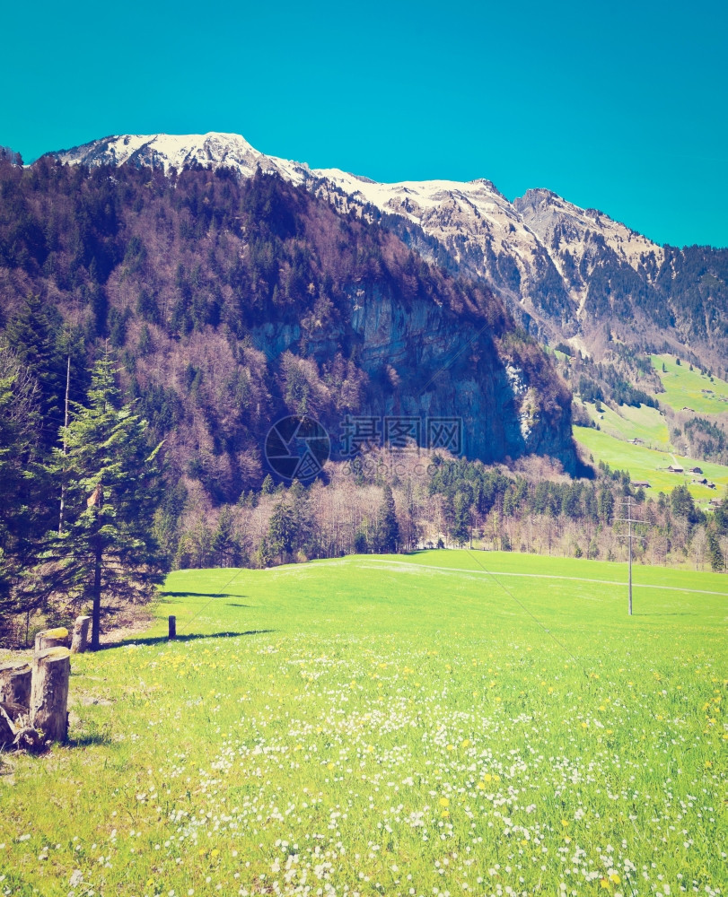 瑞士阿尔卑斯山的梅多高地回溯效应图片