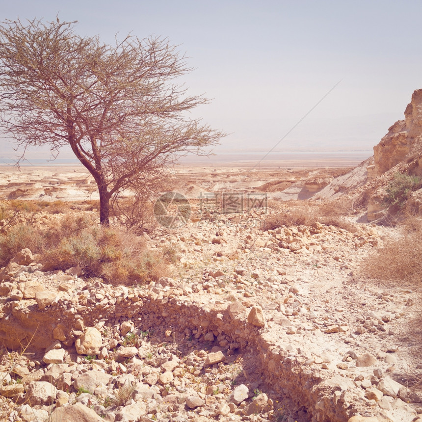 约旦河西岸沙漠回溯效应图片