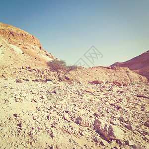 约旦河西岸朱迪亚沙漠的峡谷Instagram效应图片