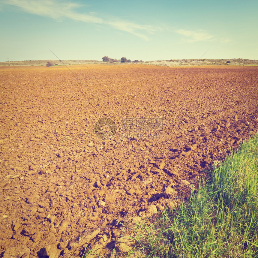 以色列收获后贫穷的桑迪土壤Instagram效应图片