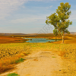 秋天与池塘的西班牙风景图片