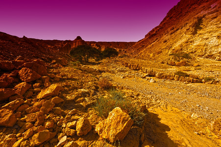 以色列内盖夫沙漠日落的以色列内盖夫沙漠的峡谷和洛基山丘图片
