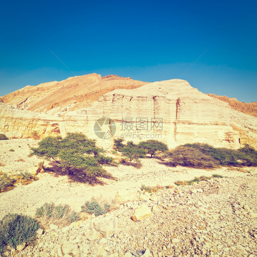 以色列内盖夫沙漠的峡谷和洛基山Instagram效应图片