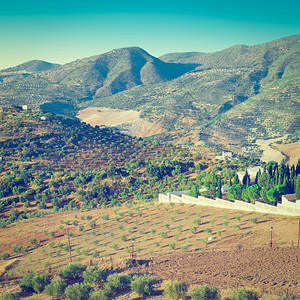 西班牙周围的橄榄林和犁过的山坡Instagram效果图片