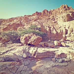 春天犹大沙漠的峡谷Instagram效应图片