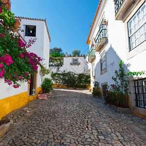 葡萄牙的狭小街道景象图片