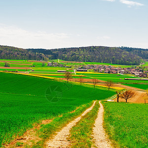 瑞士阿尔卑斯山小镇高地附近的绿田图片