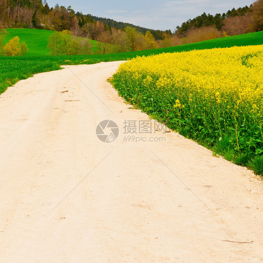 瑞士阿尔卑斯山绿地和黄之间的泥土路图片