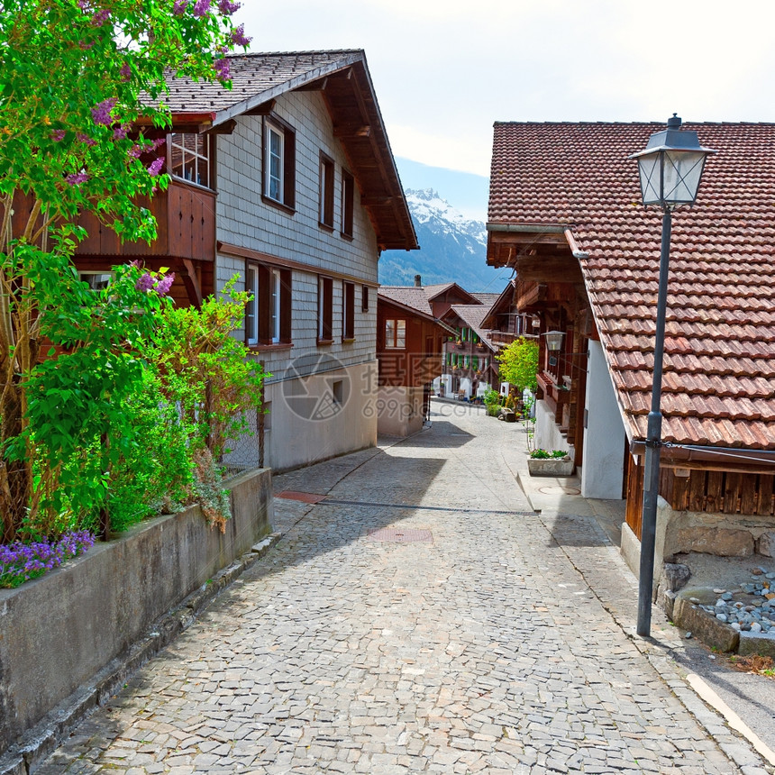 瑞士村旧木林楼街图片