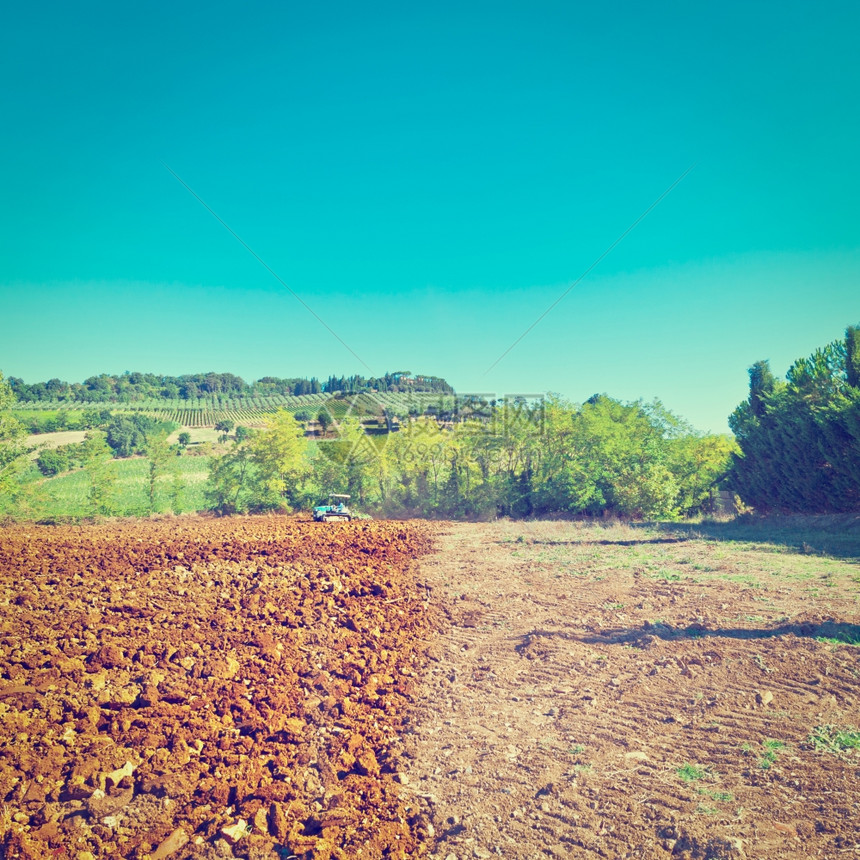 意大利托斯卡纳树园背景上的拖拉机播粉场Instagram效应图片
