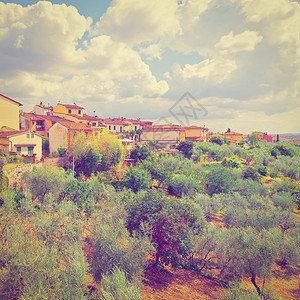 OliveGrove关于意大利城市背景图片