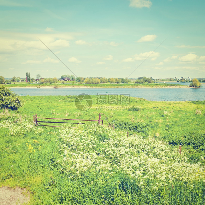 荷兰莱茵河岸的牧粉Instagram效应图片