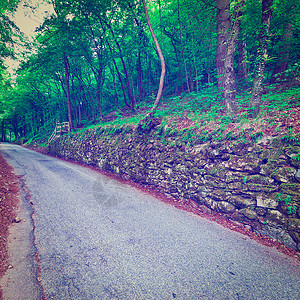 意大利的阿斯法特森林道路Instagram效应图片