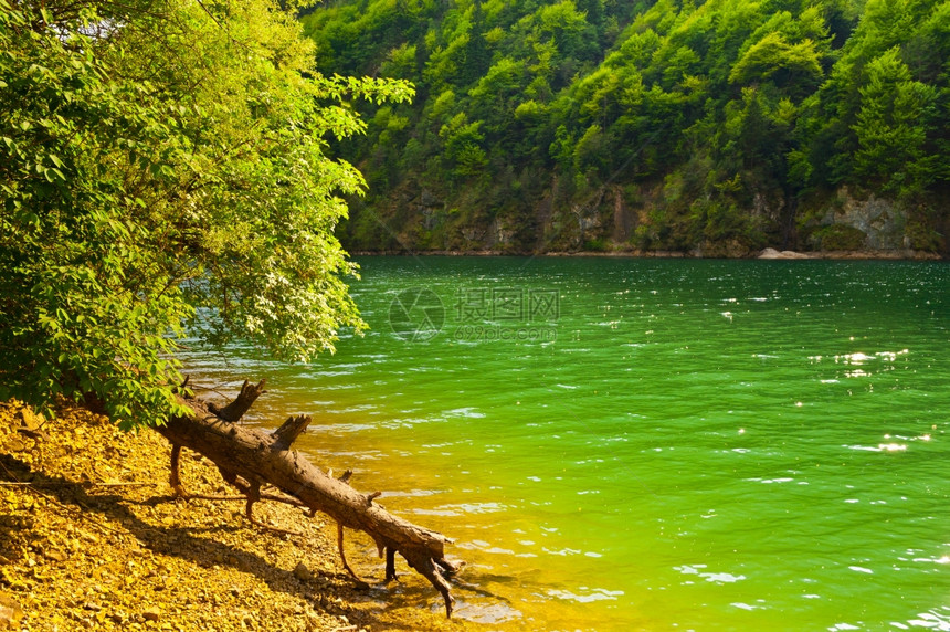 意大利阿尔卑斯山河岸的旱地瀑布树图片