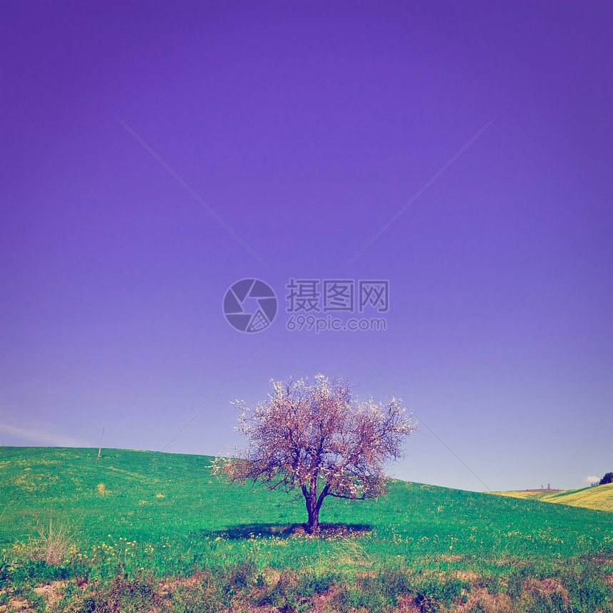 树木和农庄周围环绕着托斯卡纳的石坡草地内斯塔格特效应图片
