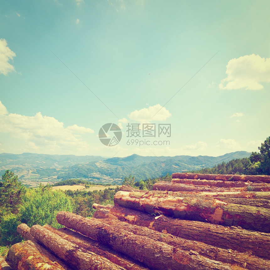在意大利阿尔卑斯山背景的一个坑里坠落锯木林Instagram效应图片