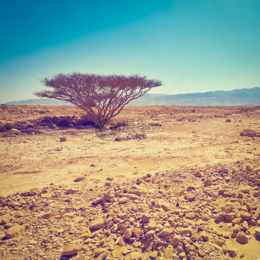 以色列撒玛利亚沙山上的大石头Instagram效果图片
