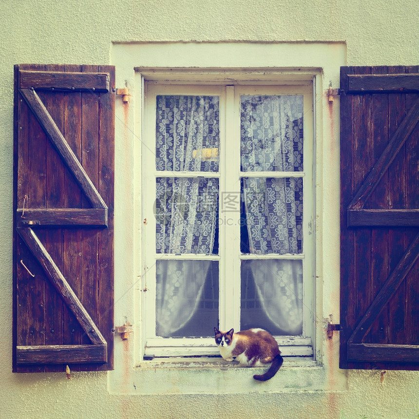 Cat与OpenWooden开关器一起坐在法国窗口上Instagram效果图片
