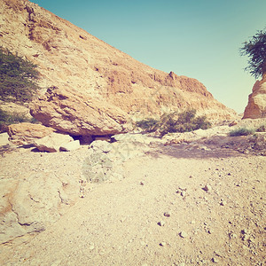 犹大沙漠干河床Instagram效应图片