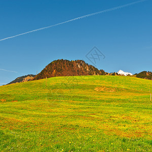 高山草地由瑞士丘标背景图片