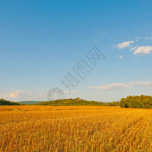 收获后田地中部山丘上的农庄图片