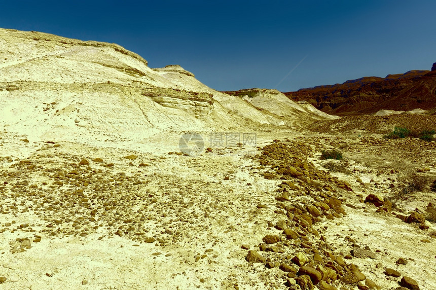 犹大沙漠中的干河床图片