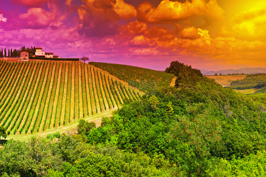 托斯卡纳山和日落的葡萄园图片