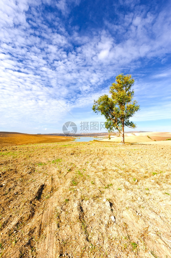 秋天与池塘的西班牙风景图片