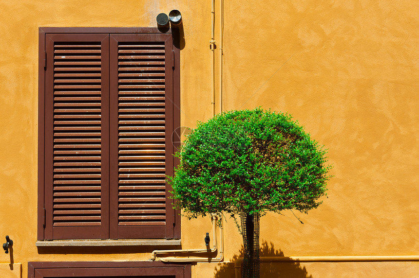 意大利语窗口装饰有Ornamental树的意大利语窗口Name图片