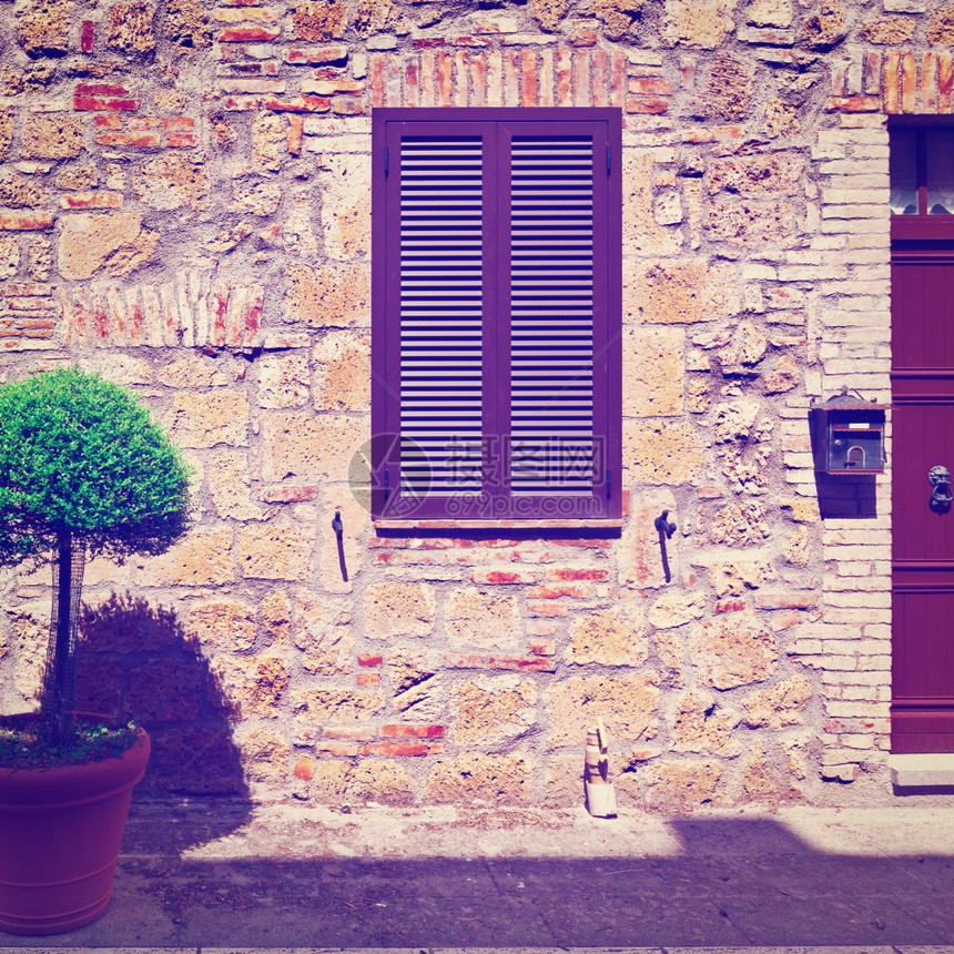 意大利厦面纱背景上的圆形树Instagram效应图片