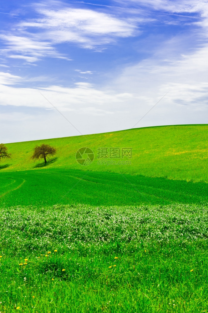 环绕着瑞士斯隆草地环绕的鲜花树木图片