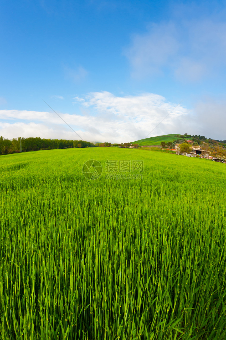 托斯卡纳岛绿坡草地图片