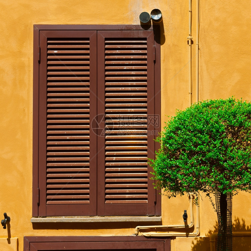 意大利语窗口装饰有Ornamental树的意大利语窗口Name图片