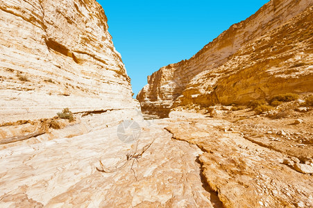 以色列内盖夫沙漠的阿维达峡谷高清图片