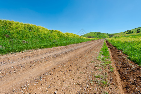 以色列戈兰高地绿之间的泥土路高清图片