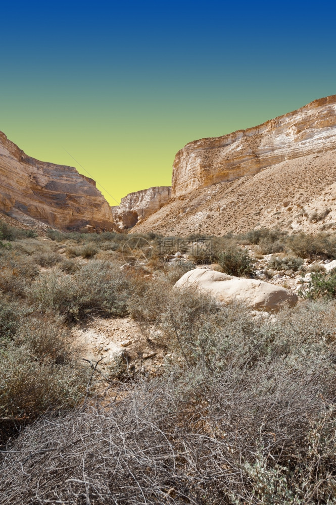 日落时以色列内盖夫沙漠的阿维达峡谷图片