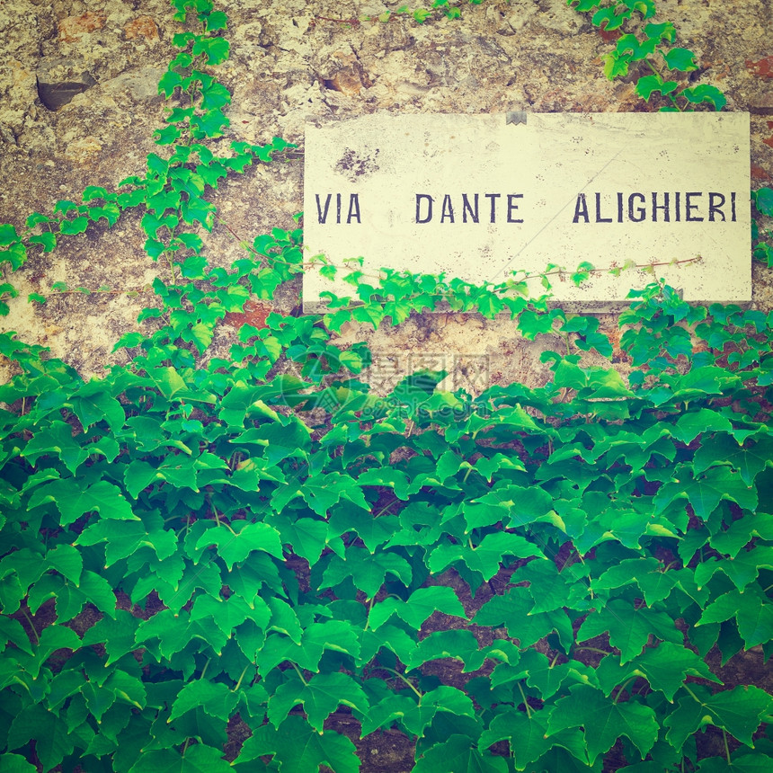 在意大利城葡萄覆盖的长上街牌Instagram效应图片