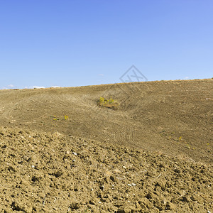 西里山丘上收获的犁田图片