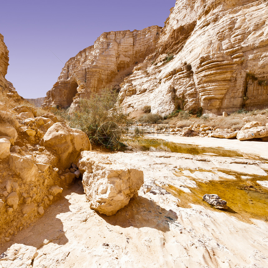 以色列内盖夫沙漠的阿维达峡谷图片