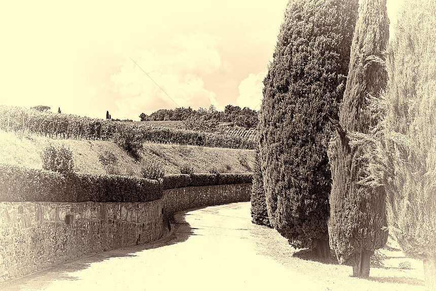 托斯卡纳山有葡萄园和CypressAlley立体照片图片
