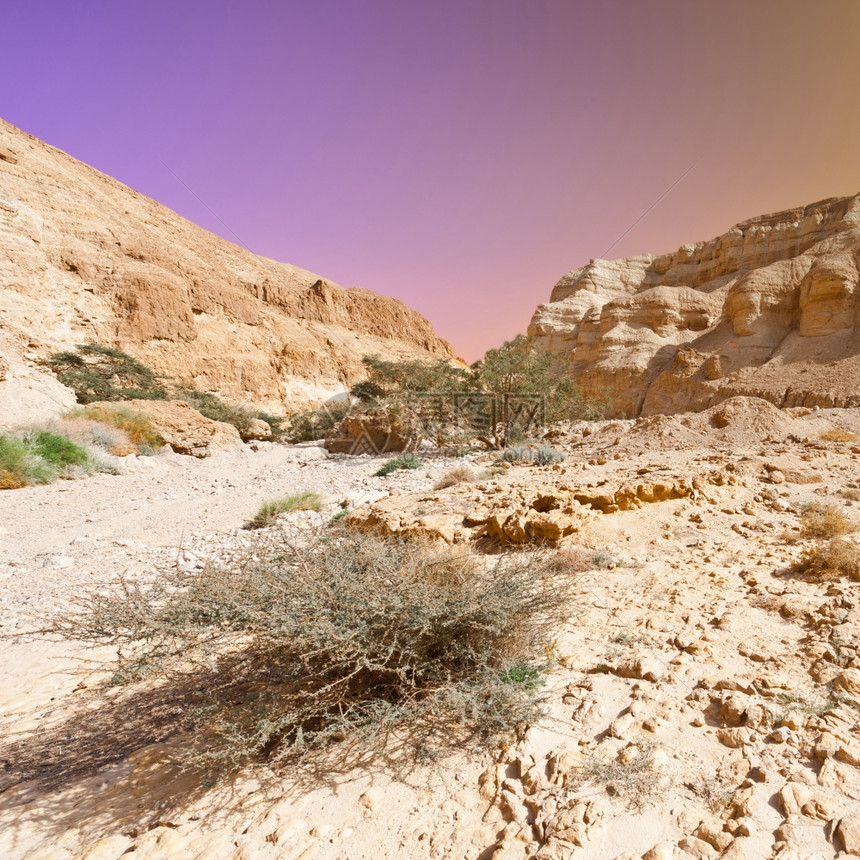 西岸犹太沙漠日出Instagram效应图片