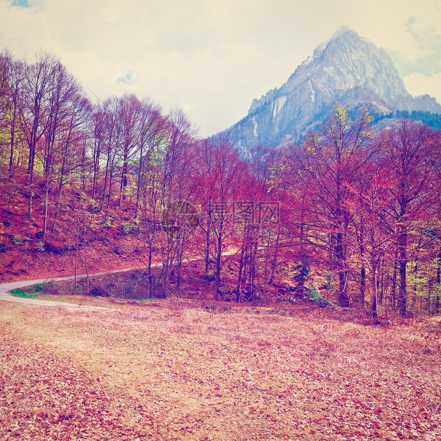 皮埃蒙特意大利阿尔卑斯山坡上的泥土森林路Instagram效应图片
