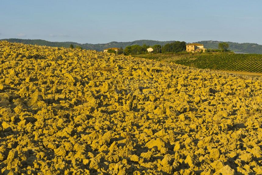 秋天意大利葡萄酒农场环绕着托斯卡纳的犁地山收获后种植葡萄园和田地的农村风景也随之而来图片