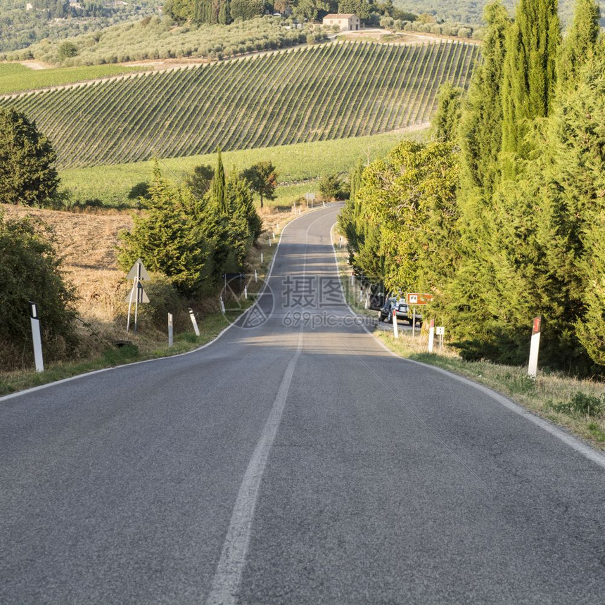 通向意大利葡萄酒农场的阿斯法特公路在秋天被托斯卡纳的犁地山包围在收获后有葡萄园橄榄树和田地的农村景观图片
