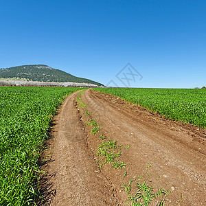 通往以色列塔博山脚上鲜花杏园的泥土路背景