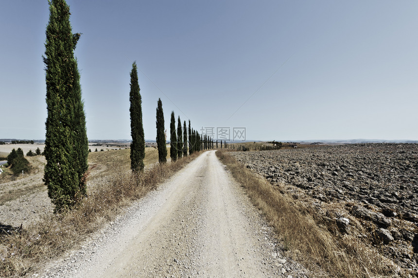 托斯卡纳山丘上坚固的田地收获后托斯卡纳风景泥土路与意大利犁田间铁丝网相连图片