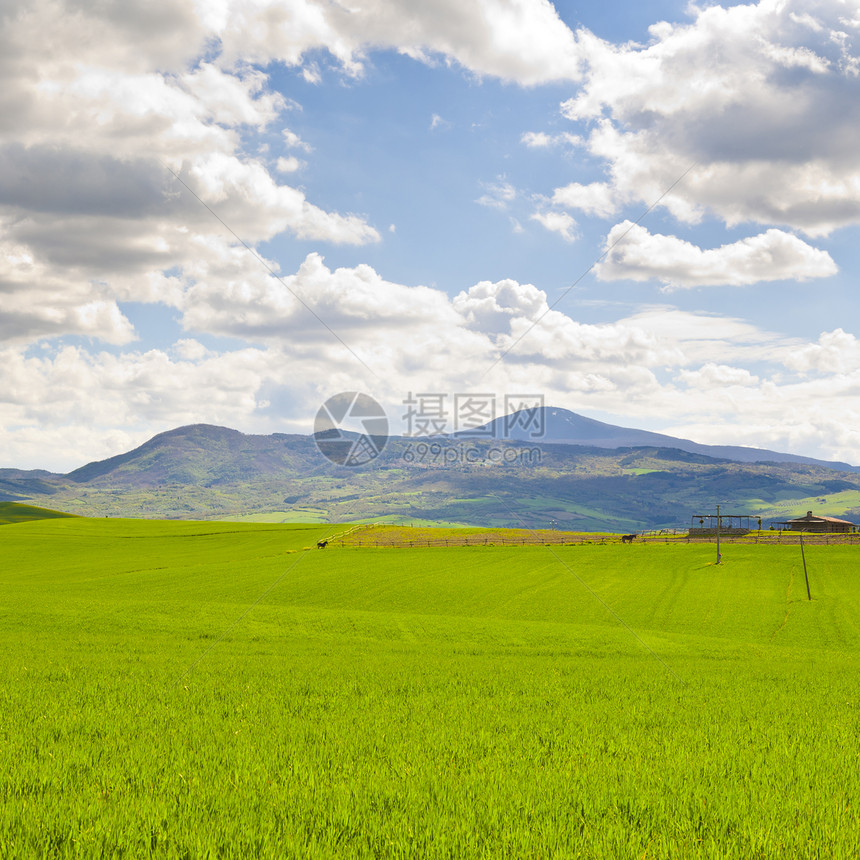 春初意大利有草地的貌意大利农业马牧场田地和图片