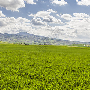 春初意大利的地貌和草原意大利的农业山上田地牧场和农舍图片