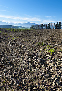 瑞士农业可耕地和牧场瑞士耕地图片